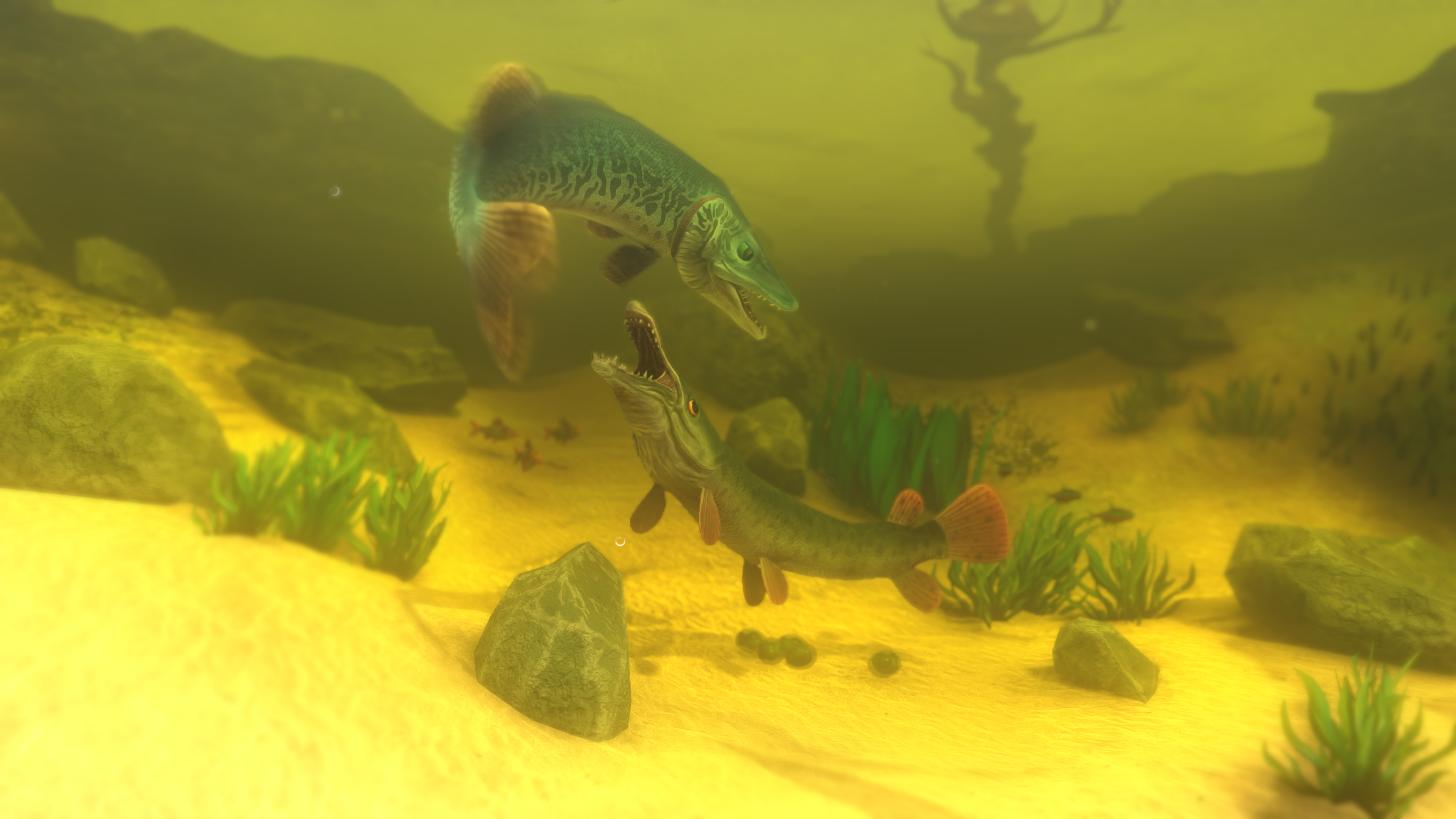 Image 3 - Feed and Grow: Fish - IndieDB