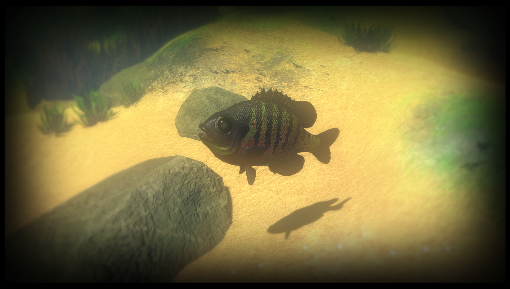 Images - Feed and Grow: Fish - Indie DB