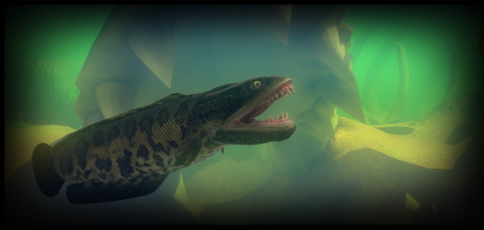 Feed and Grow: Fish - Update 0.14.1 - Steam News