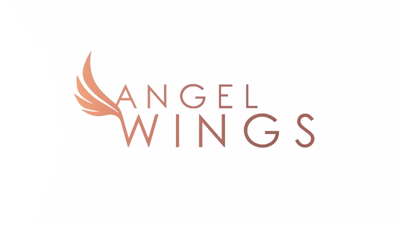 Angel Wings - Angel Wings 1/23 Update - AMD Texture Fix - Steam News