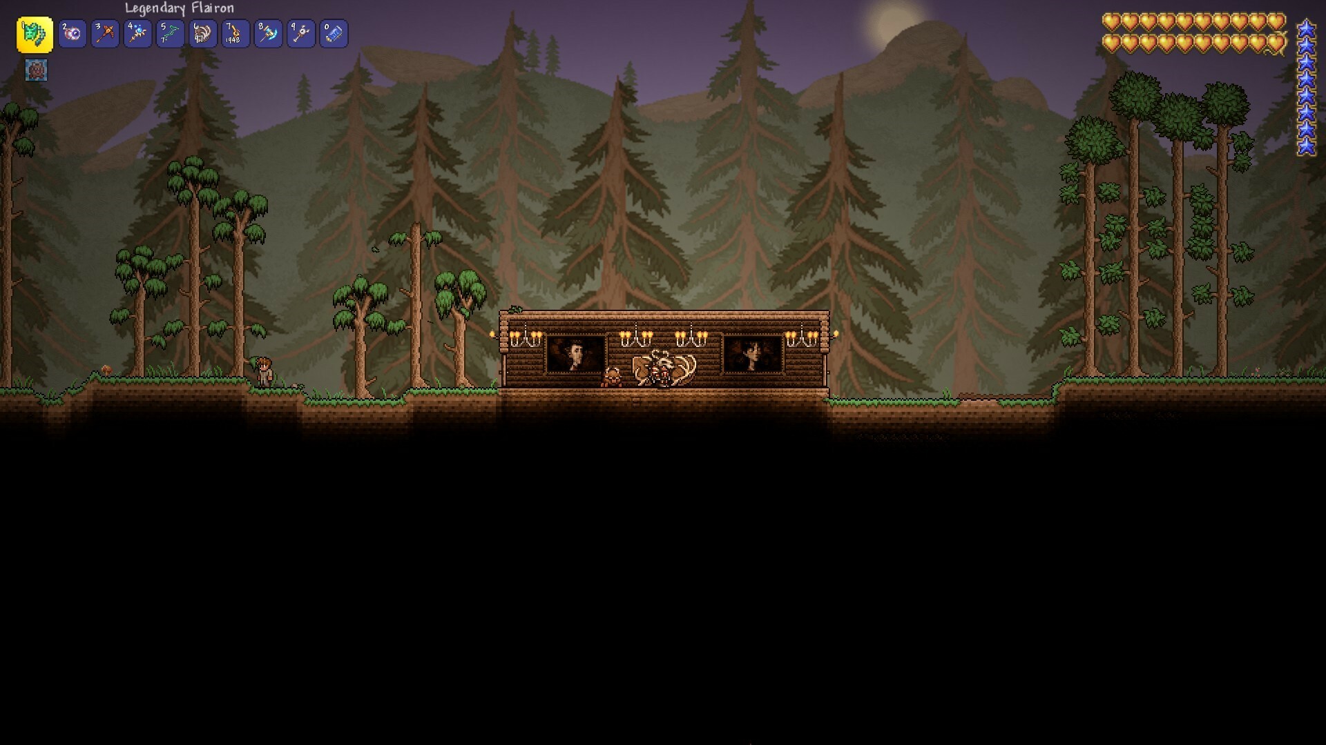 Some terraria arena design :)  Terraria house design, Terrarium, Terraria  house ideas