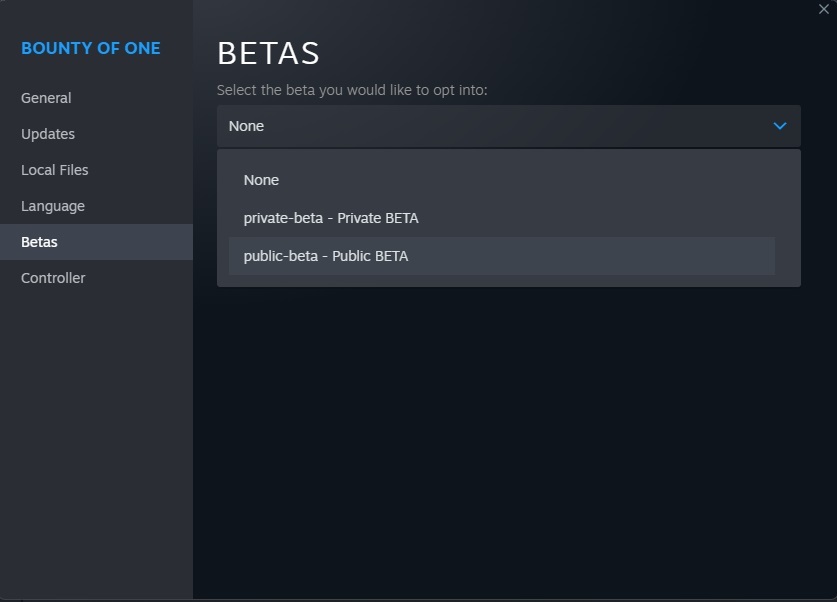 Bounty of One on Steam