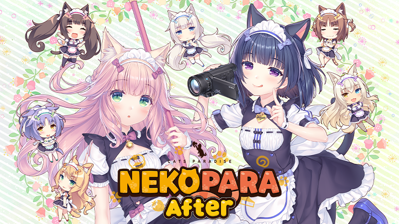 [情報] NEKOPARA After 延期